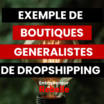 exemples de boutiques generalistes dropshipping