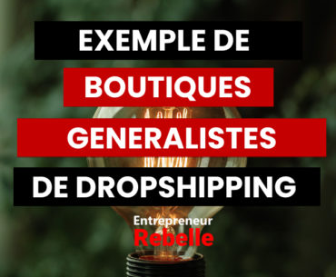 exemples de boutiques generalistes dropshipping