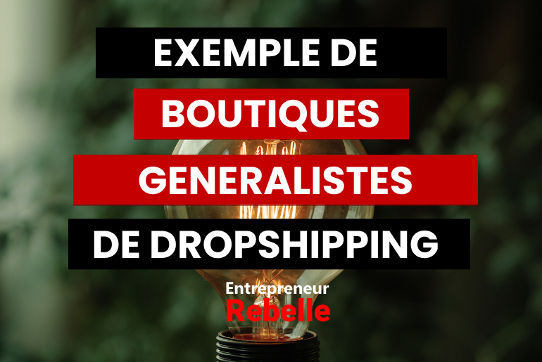 exemples de boutiques generalistes dropshipping