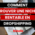 Comment Trouver Une Niche Dropshipping Rentable