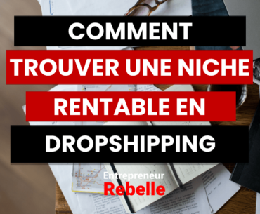 Comment Trouver Une Niche Dropshipping Rentable