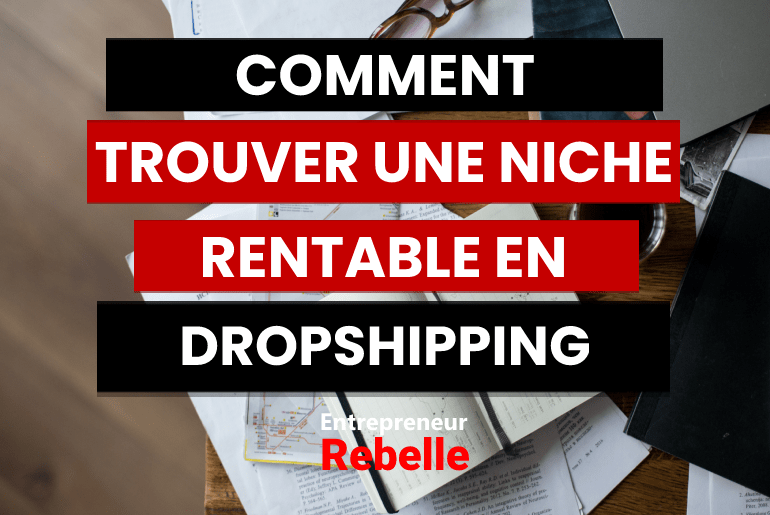 Comment Trouver Une Niche Dropshipping Rentable (7 méthodes)