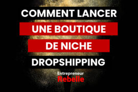 Comment lancer une boutique de niche Dropshipping en 2022