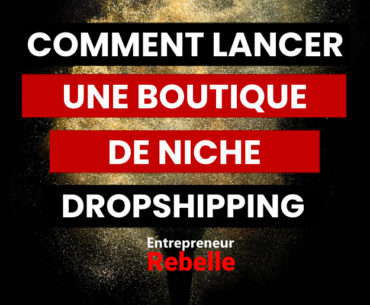 Comment lancer une boutique de niche Dropshipping en 2022