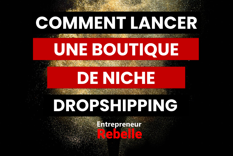 Comment lancer une Boutique de Niche Dropshipping en 2024 ?