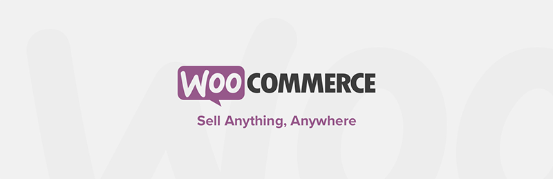  Comment faire du Dropshipping avec WordPress et Woocommerce