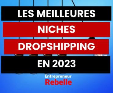 Les 25 Meilleurs Niches Dropshipping 2023