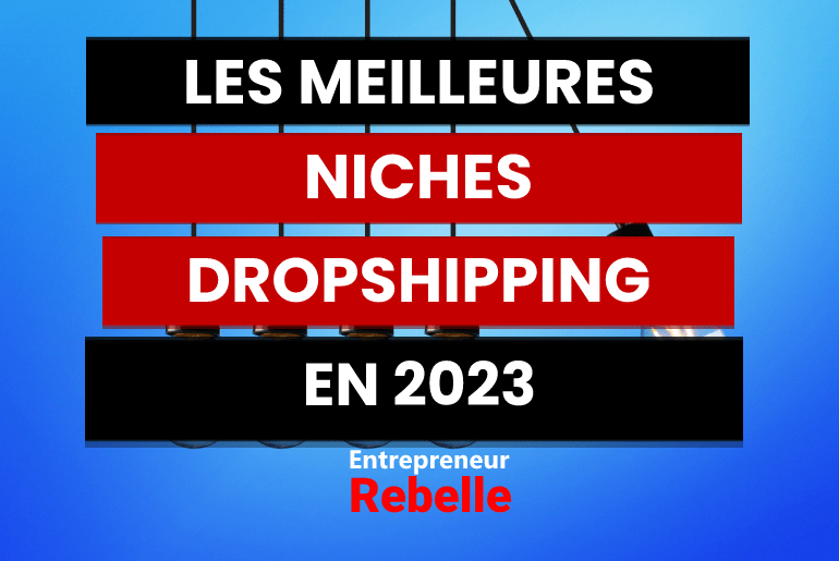 Les 25 Meilleurs Niches Dropshipping 2023