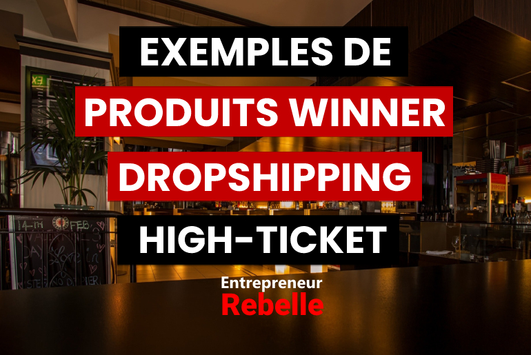 16 Exemples de Produits Gagnants Dropshipping High Ticket