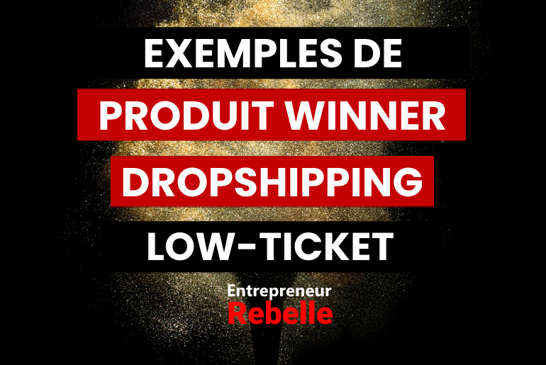 13 Exemples de Produit Winner Dropshipping Low-Ticket