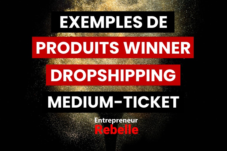 14 Exemples de Produits Winners Dropshipping Medium-Ticket