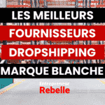 Fournisseur Dropshipping Marque Blanche