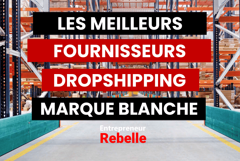 Les 7 Meilleurs Fournisseur Dropshipping Marque Blanche 2024