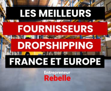 fournisseurs dropshipping france