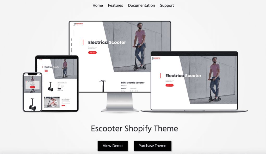 Les 20 Meilleurs Thèmes Shopify Monoproduit Dropshipping 2022