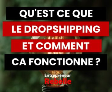 qu'est ce que le dropshipping et comment ça fonctionne