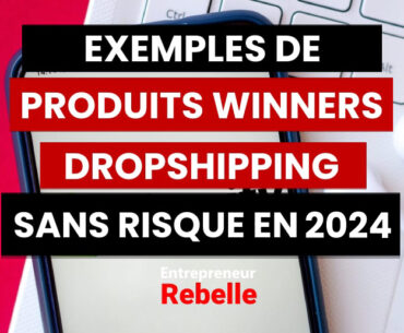 13 Exemples de Produit Winner Dropshipping 2024 Sans Risque